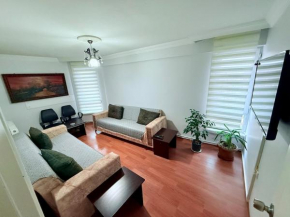Best apartment with kitchen in the center